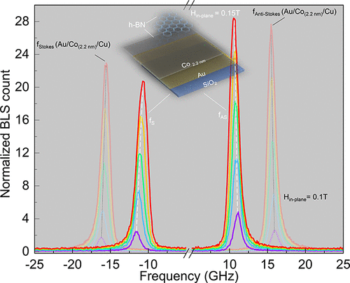 DMI in Co/hBN heterostructures investigated by Brillouin Light Scattering