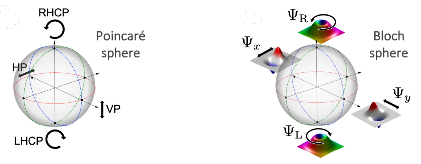 Optical polarization analogue in free electron beams