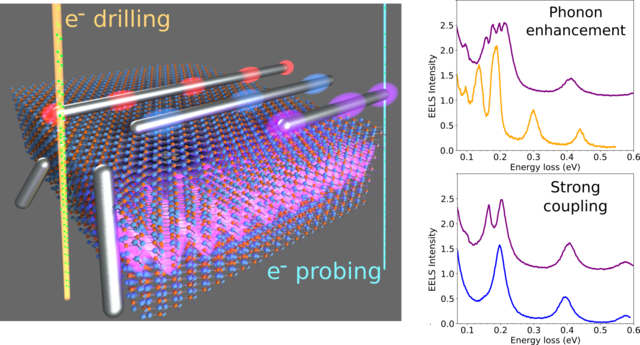 Tailored nanoscale plasmon-enhanced vibrational electron spectroscopy