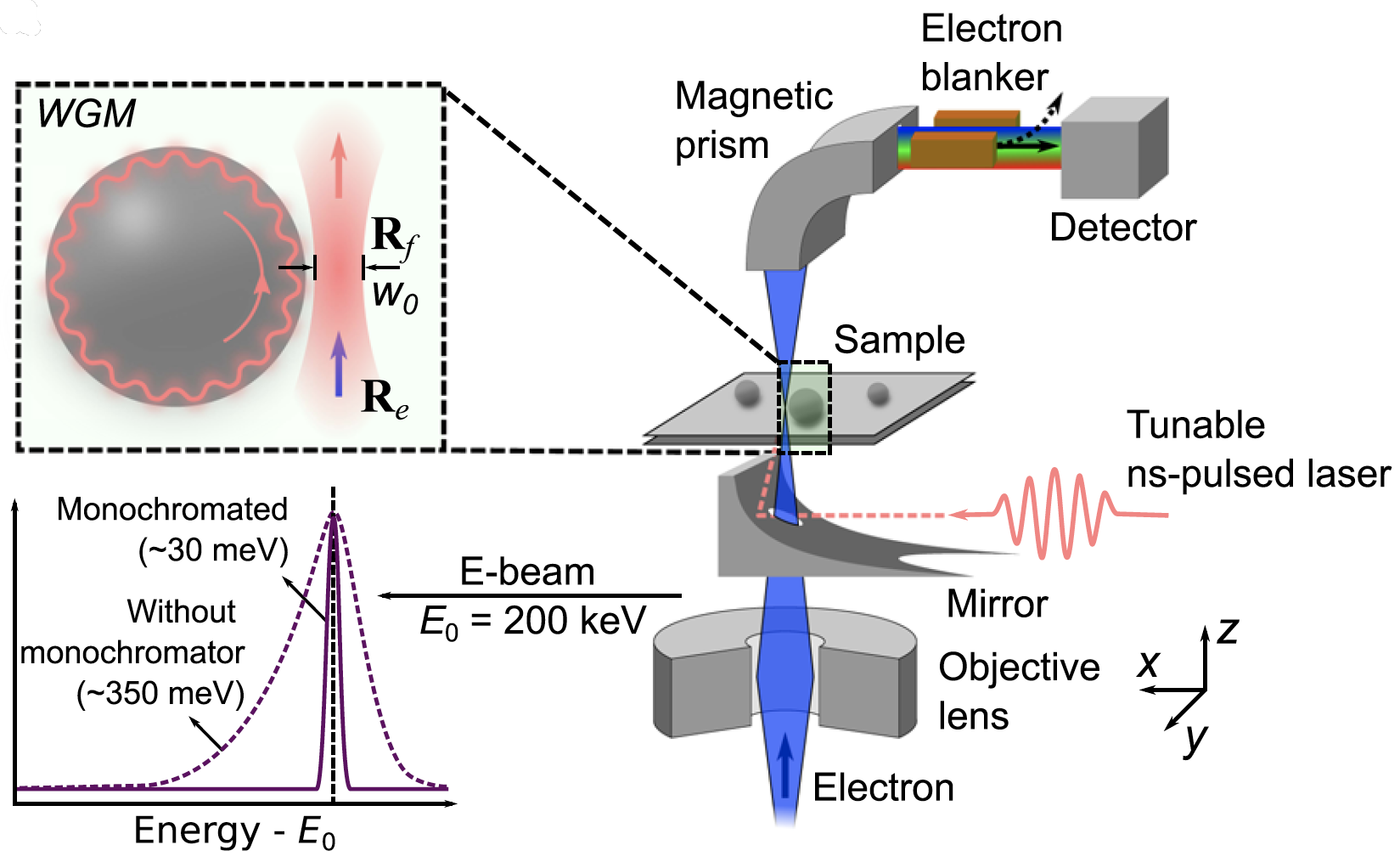μeV electron spectromicroscopy using free-space light